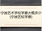 宁波艺术学校学费大概多少(宁波艺校学费)