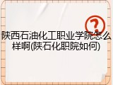 陕西石油化工职业学院怎么样啊(陕石化职院如何)