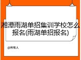 湘潭雨湖单招集训学校怎么报名(雨湖单招报名)