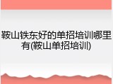 鞍山铁东好的单招培训哪里有(鞍山单招培训)