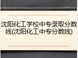 沈阳化工学校中专录取分数线(沈阳化工中专分数线)