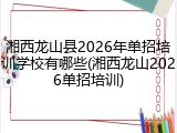 湘西龙山县2026年单招培训学校有哪些(湘西龙山2026单招培训)