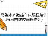 乌鲁木齐数控车床编程培训班(乌市数控编程培训)