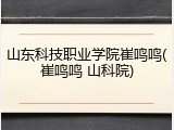 山东科技职业学院崔鸣鸣(崔鸣鸣 山科院)