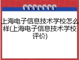 上海电子信息技术学校怎么样(上海电子信息技术学校评价)