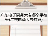 广东电子商务大专哪个学校好(广东电商大专推荐)