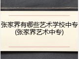 张家界有哪些艺术学校中专(张家界艺术中专)