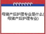 母猪产后护理专业是什么(母猪产后护理专业)