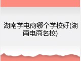 湖南学电商哪个学校好(湖南电商名校)