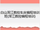 白山浑江数控车床编程培训班(浑江数控编程培训)