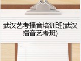 武汉艺考播音培训班(武汉播音艺考班)