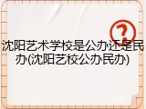 沈阳艺术学校是公办还是民办(沈阳艺校公办民办)