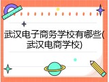 武汉电子商务学校有哪些(武汉电商学校)