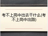 考不上高中出去干什么(考不上高中出路)