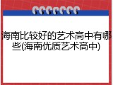 海南比较好的艺术高中有哪些(海南优质艺术高中)