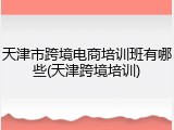 天津市跨境电商培训班有哪些(天津跨境培训)