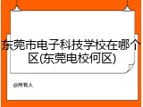 东莞市电子科技学校在哪个区(东莞电校何区)