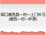 周口鹿邑县一对一上门补习(鹿邑一对一补课)
