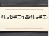 科技节手工作品(科技手工)
