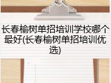 长春榆树单招培训学校哪个最好(长春榆树单招培训优选)