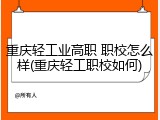 重庆轻工业高职 职校怎么样(重庆轻工职校如何)