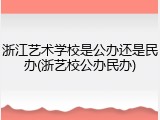 浙江艺术学校是公办还是民办(浙艺校公办民办)
