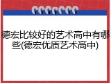 德宏比较好的艺术高中有哪些(德宏优质艺术高中)