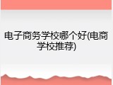电子商务学校哪个好(电商学校推荐)