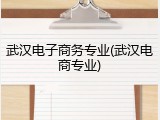 武汉电子商务专业(武汉电商专业)