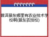 普洱景东哪里有农业技术学校啊(景东农技校)