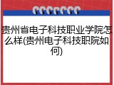 贵州省电子科技职业学院怎么样(贵州电子科技职院如何)