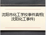 沈阳市化工学校事件真相(沈阳化工事件)
