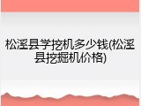 松溪县学挖机多少钱(松溪县挖掘机价格)