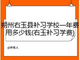 朔州右玉县补习学校一年费用多少钱(右玉补习学费)