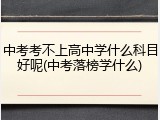 中考考不上高中学什么科目好呢(中考落榜学什么)