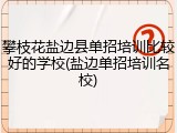 攀枝花盐边县单招培训比较好的学校(盐边单招培训名校)