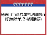 马鞍山当涂县单招培训哪个好(当涂单招培训推荐)