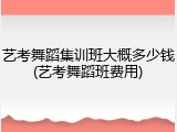 艺考舞蹈集训班大概多少钱(艺考舞蹈班费用)
