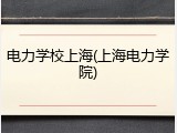 电力学校上海(上海电力学院)