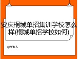 安庆桐城单招集训学校怎么样(桐城单招学校如何)