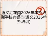 遵义红花岗2026年单招培训学校有哪些(遵义2026单招培训)