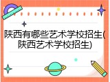 陕西有哪些艺术学校招生(陕西艺术学校招生)