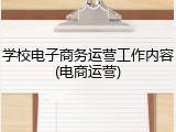 学校电子商务运营工作内容(电商运营)