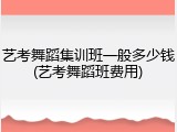 艺考舞蹈集训班一般多少钱(艺考舞蹈班费用)