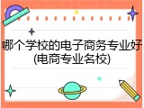 哪个学校的电子商务专业好(电商专业名校)