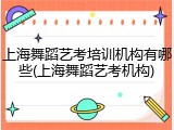 上海舞蹈艺考培训机构有哪些(上海舞蹈艺考机构)