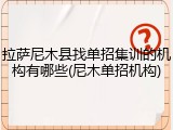 拉萨尼木县找单招集训的机构有哪些(尼木单招机构)