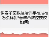 伊春翠峦数控培训学校技校怎么样(伊春翠峦数控技校如何)