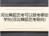 河北舞蹈艺考可以报考哪些学校(河北舞蹈艺考院校)
