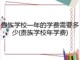 贵族学校一年的学费需要多少(贵族学校年学费)